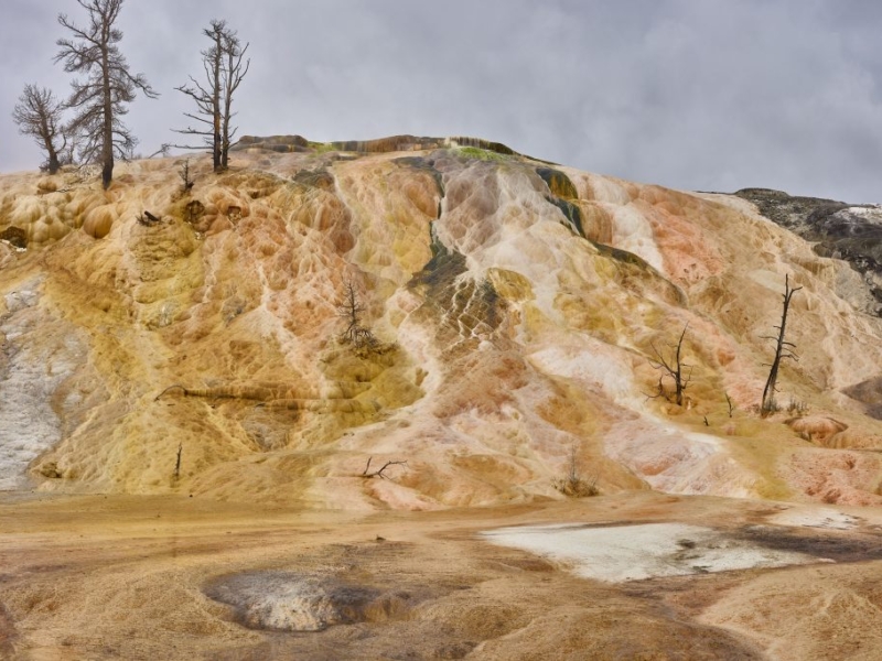 beautiful colors of Mammoth Terrace Yellowstone National Park