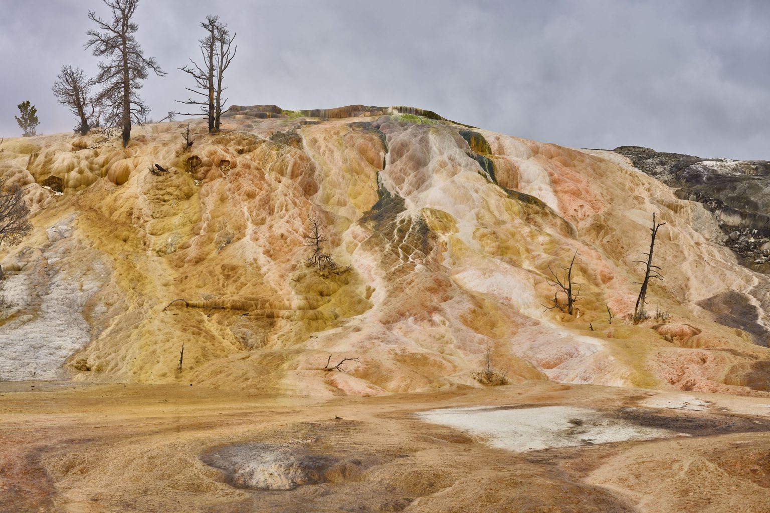 Bbeautiful colors of Mammoth Terrace Yellowstone National Park