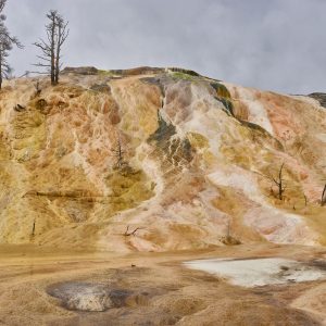 beautiful colors of Mammoth Terrace Yellowstone National Park