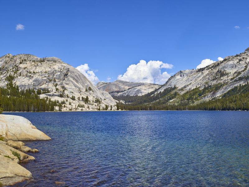 Tenaya Lake Tuolumne Meadows Yosemite