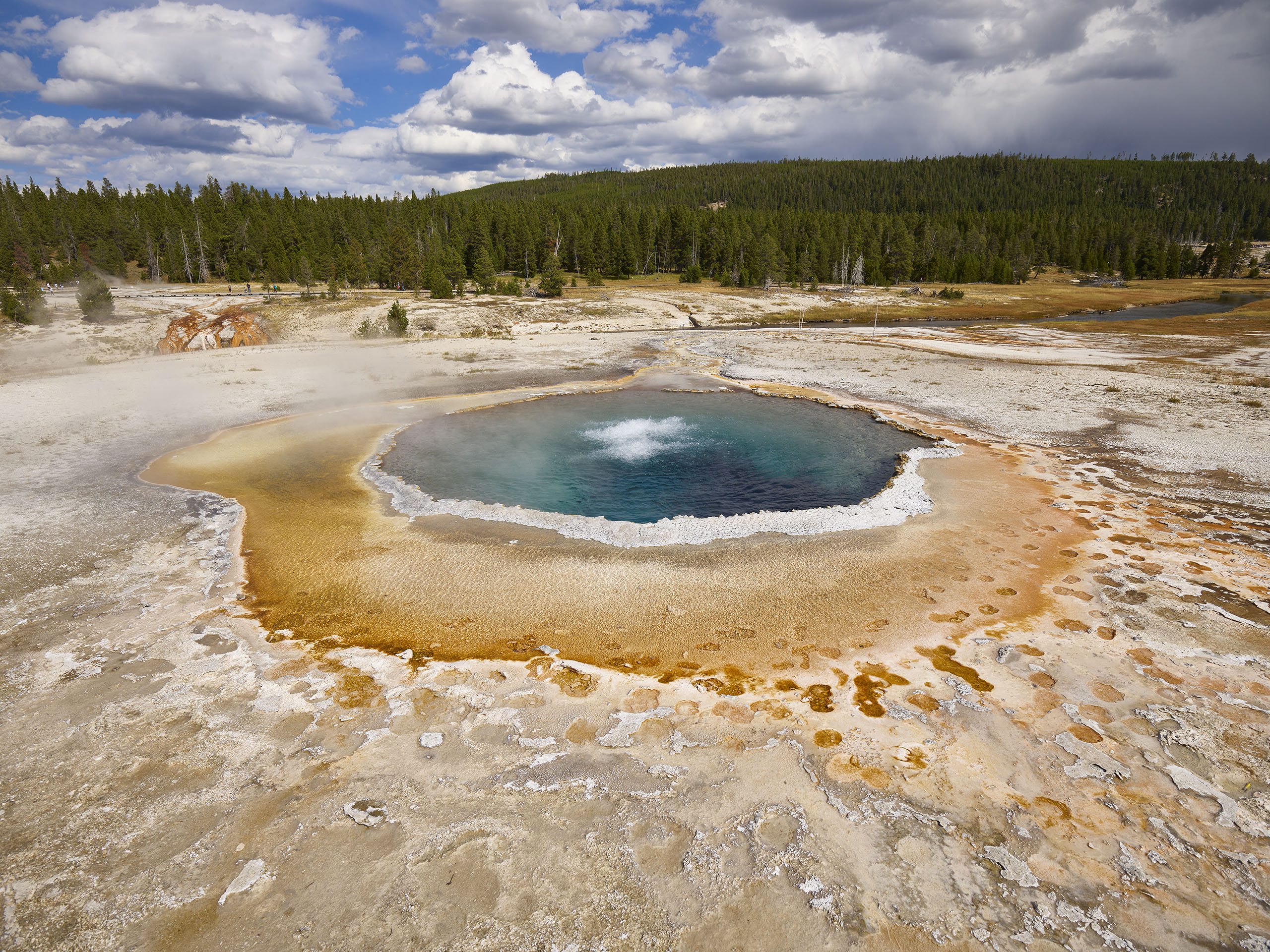 Crested Pool with buffalo footprints Yellowstone National Park