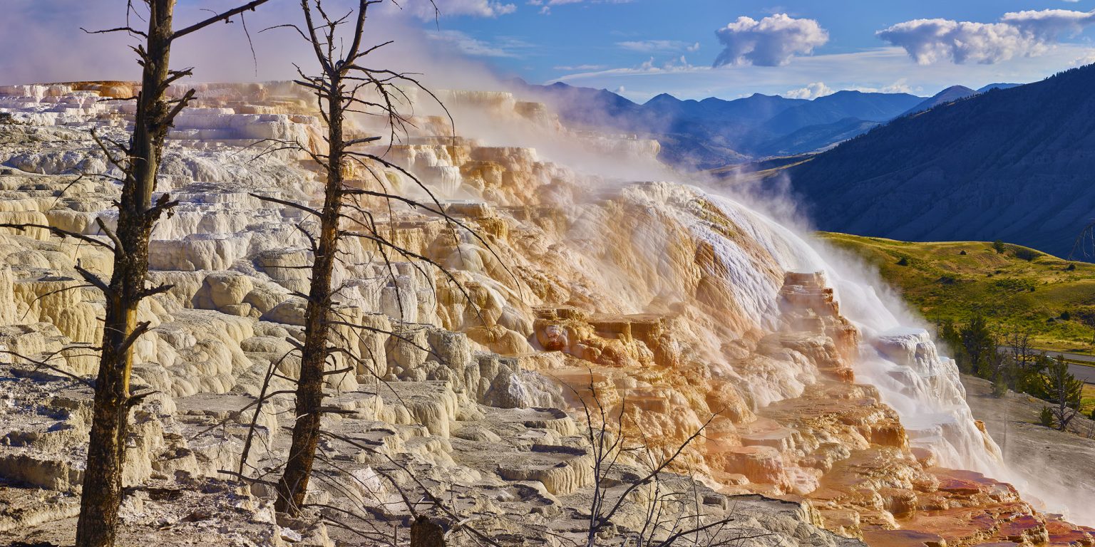 Canary Spring Yellowstone National Park