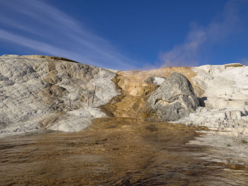 Mammoth Terrace Yellowstone