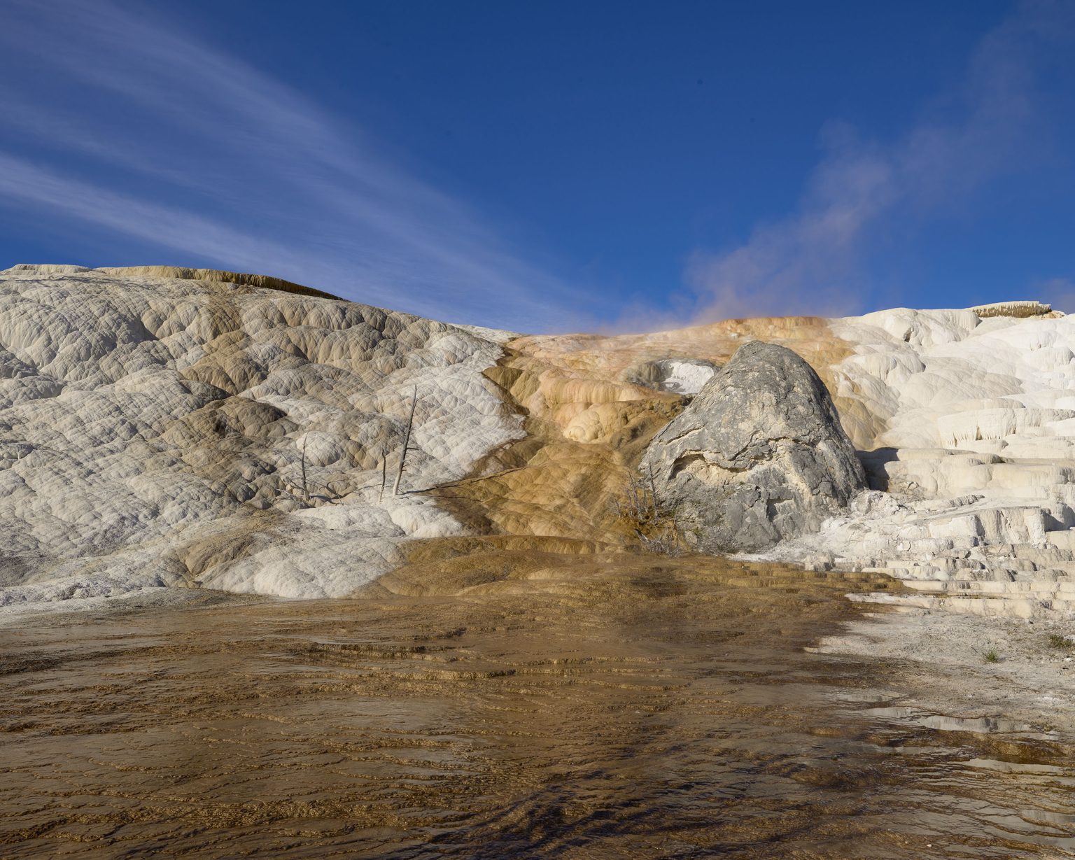 Mammoth Terrace Yellowstone