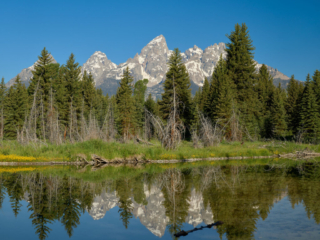 Reflection Schwabacher Landing Tetons National Park