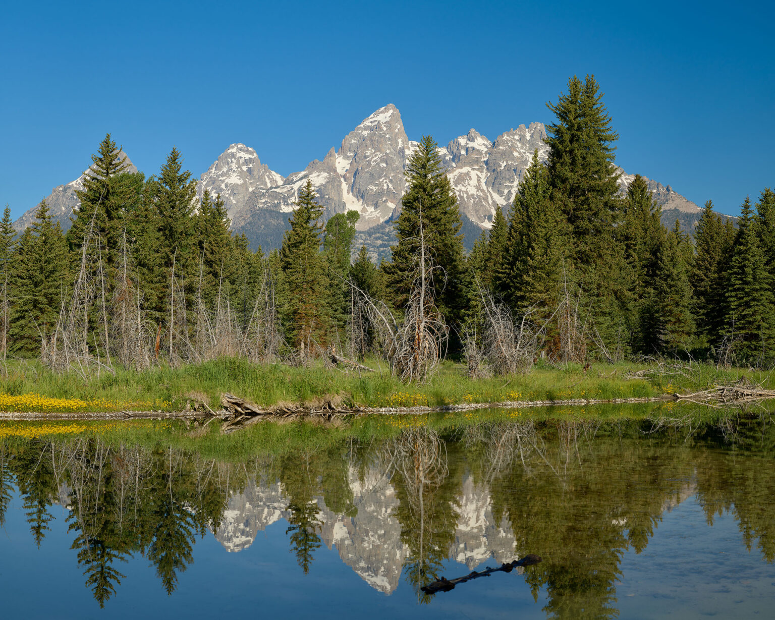 Reflection at Schwabacher Landing Grand Tetons National Park
