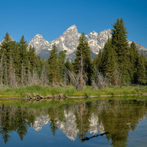 Reflection at Schwabacher Landing Grand Tetons National Park